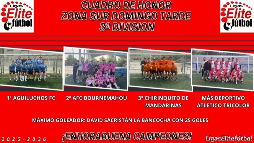 CUADRO DE HONOR ZONA SUR DOMINGO TARDE 3ª DIVISIÓN